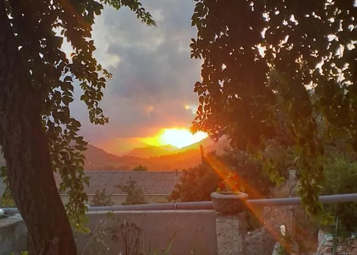 Kuna * Kuna Pelješka